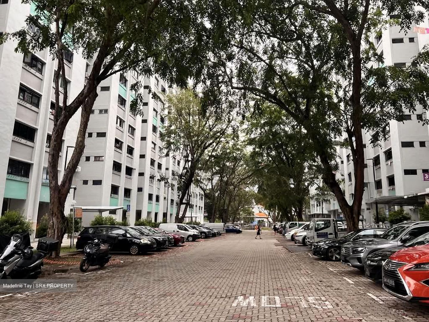 Clementi Meadows (D5), Shop House #571624831